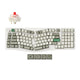 Shell White