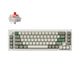 Shell White