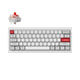 Shell White