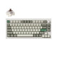 Shell White