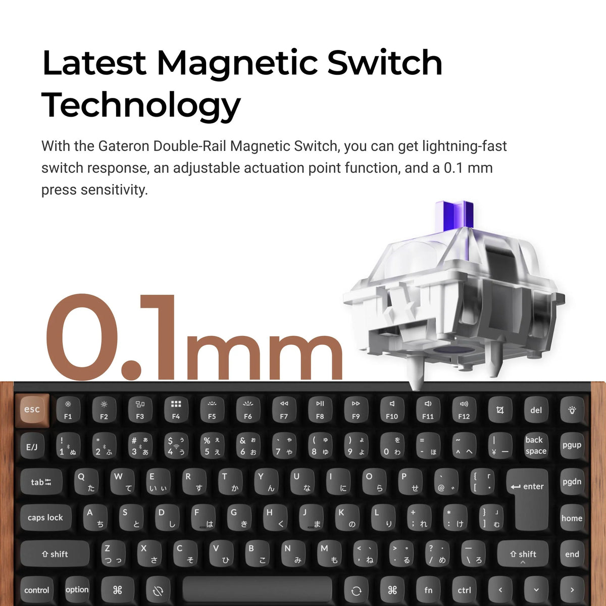 Keychron K2 HE Wireless Magnetic Switch Custom Keyboard (Japan JIS Layout)