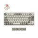 Shell White