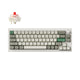 Shell White