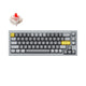 Silver Grey - B