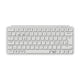 Ivory White