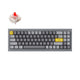 Silver Grey - B
